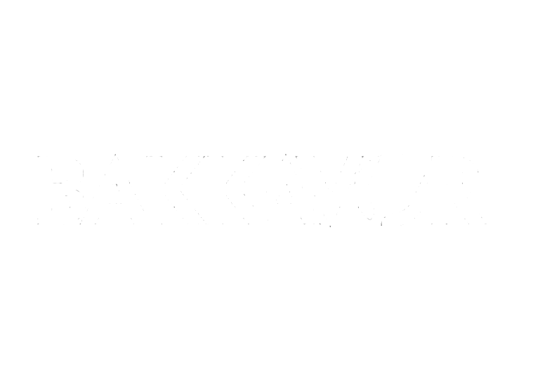 Bakkavor Vision One