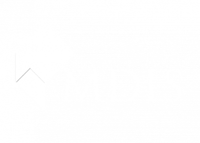 MDIS Vision One