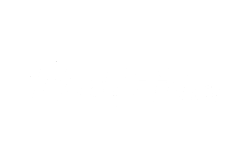 McBride Vision One