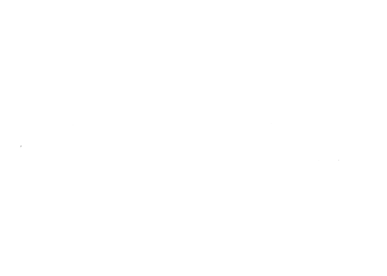 Merseyside Police Vision One
