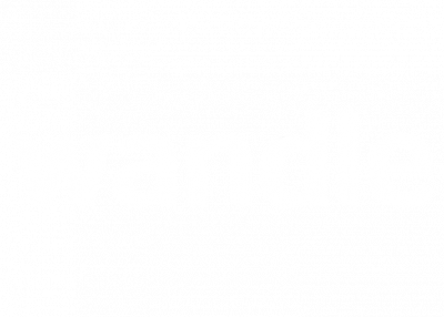 Wandle Vision One