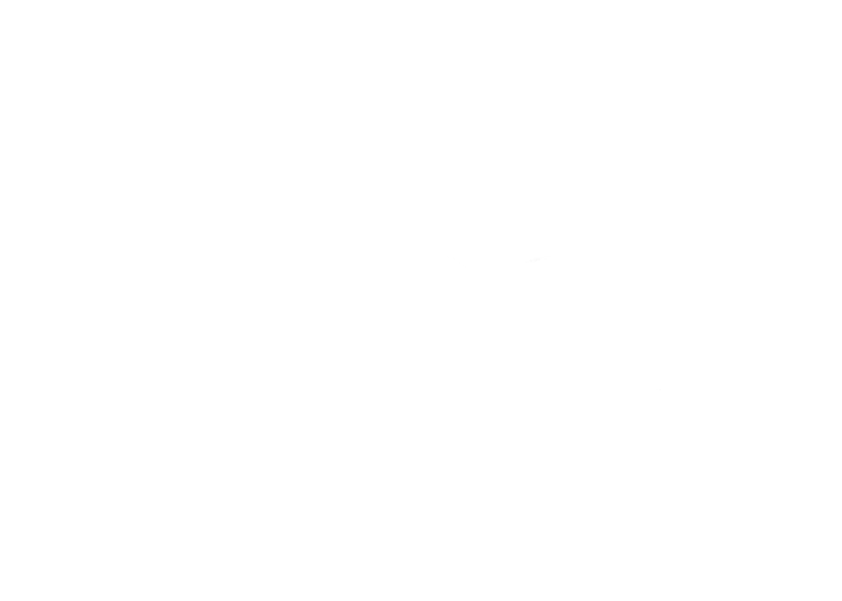Wandle Vision One