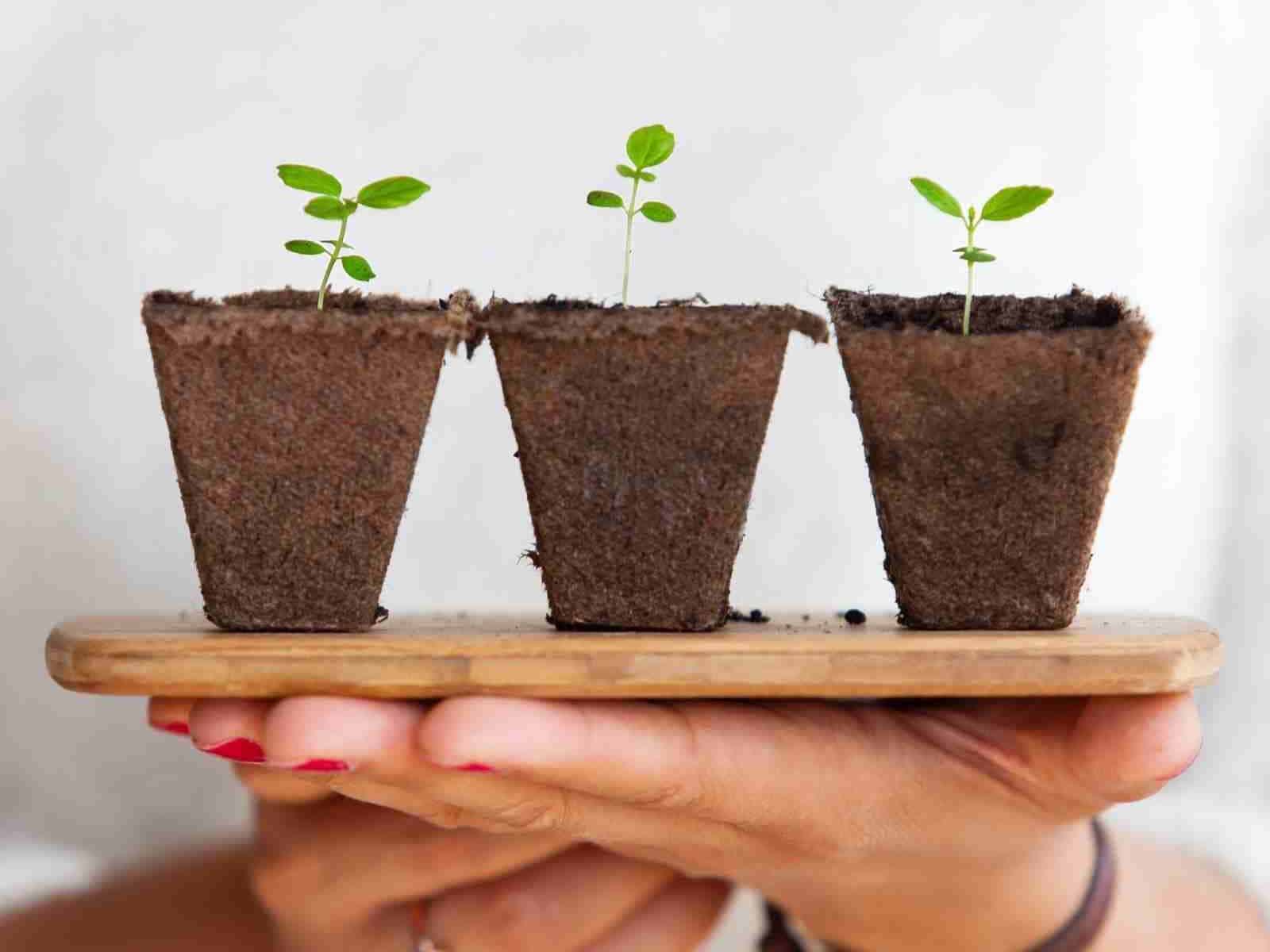 The Plimsoll Report Our Results Vision One