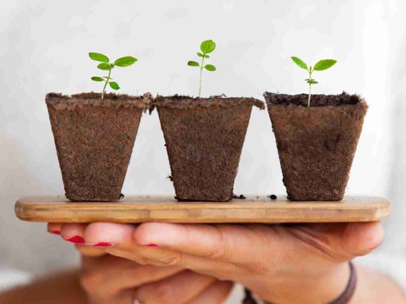 The Plimsoll Report Our Results Vision One