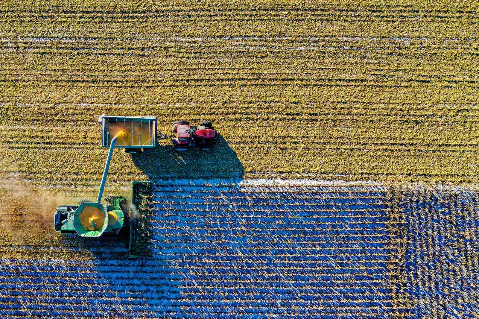Young-Farmers-Agricultural-Teachers-Online-Focus-Group