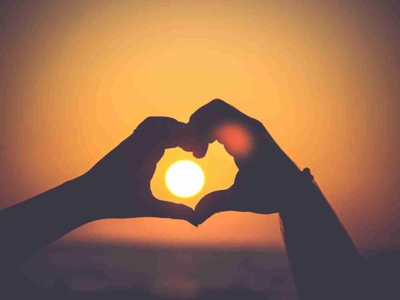 Brand Love Explanation Vision One