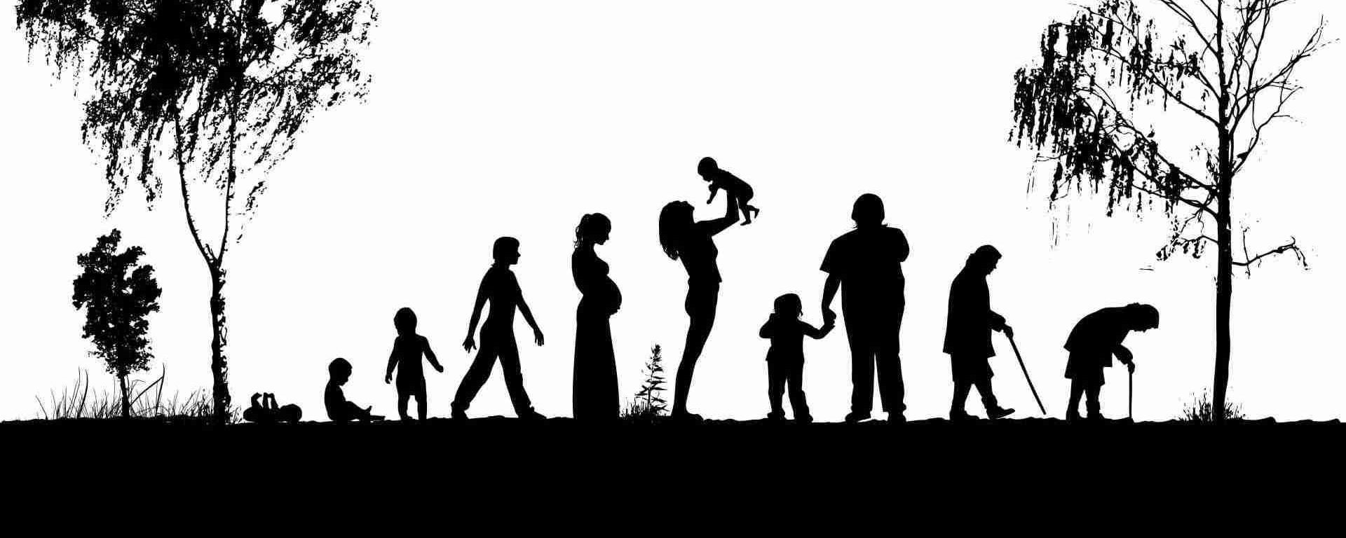 Circle of life in the Mortality of Brands