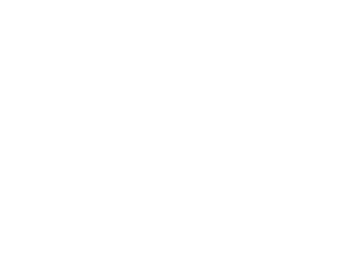 Allianz White Logo