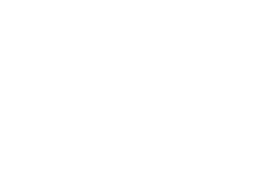 Aeromobile Logo